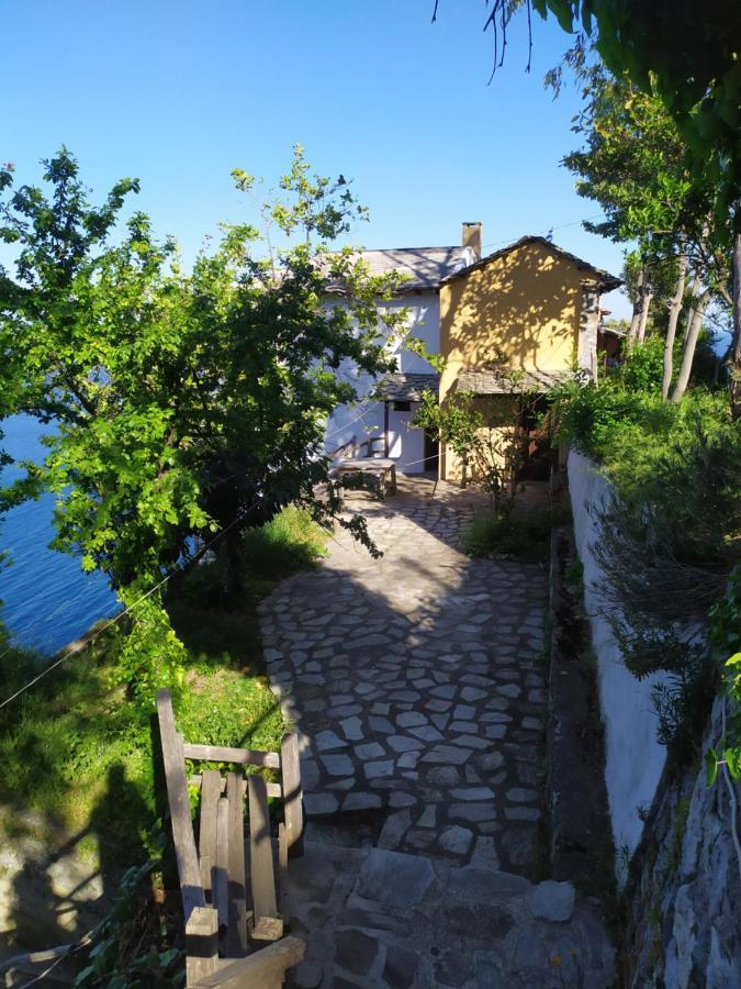 Triple Studio Room With The Most Beatifull View In Mylopotamos ツァガラダ エクステリア 写真
