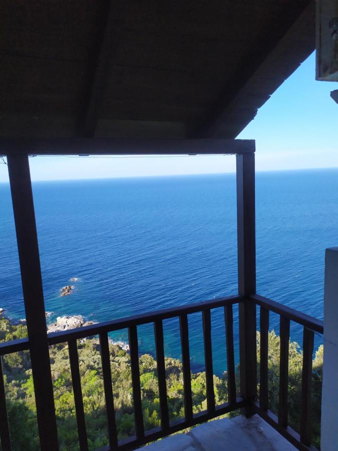 Triple Studio Room With The Most Beatifull View In Mylopotamos ツァガラダ エクステリア 写真